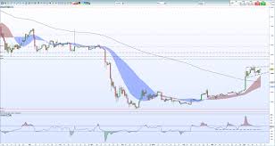 Year Final Bitcoin Will Be Created Price Of Bitcoin Gold Follow Bitcoin Dilex India
