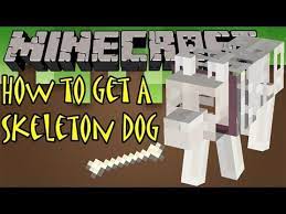 (jul 08, 2021) there are no skeleton dogs in vanilla (unmodded) minecraft. Minecraft How To Get A Skeleton Dog Grim Youtube