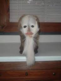 Gosip artis, curhatan tara basro ketakutan lihat orang pakai mukena gosip 20 mei 2018, gosip mei, gosip mei 2018, gosip, gosip 2018, artis, terbaru, gosip terbaru gosip artis, tasya kamila resmi tunangan dengan randi bachtiar setelah 5,5 tahun bersama. Artis Malaysia Beruk Kuvukiland Seram Giler Muka Dia Facebook