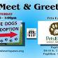 Meet & Greet at Pets Earth event image