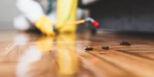 best herbal pest control services 