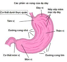 We did not find results for: Co Tháº¯t Tam Vá»‹ Tá»•ng Quan Vá» Bá»‡nh Va Cach Ä'iá»u Trá»‹