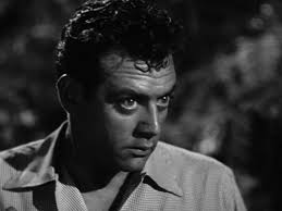 Horror Movie Dalliances: The Defense Calls Perry Mason : Maniacs and  Monsters