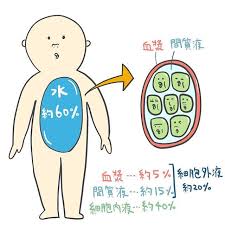 ガンの原因を真剣に考える そこから見えてくる癌細胞の意外な特性 果たして癌は治るのか ホントは 癌細胞 ガン細胞 治る