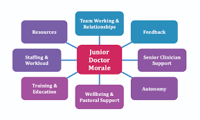 A doctorate degree is the highest level of academic degree in most fields. Exploring Junior Doctor Morale In A Uk Hospital Royal College Of Physicians Of Edinburgh