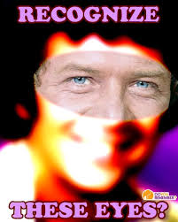 LOUIE********** Tagstane Cinderella Man SIRE- GB.CH.Kyraloebis Italian  Gigilo DAM- Tagstane Fushia Struck Based in Rep Of Ireland.