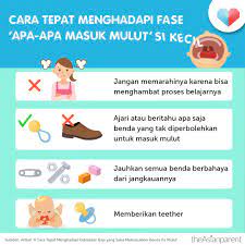 Cara Tepat Menghadapi Fase Apa Apa Masuk Mulut Si Kecil Bayi Buku Bayi Psikologi Perkembangan