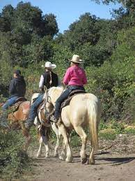 Trail Rides At Carmel Valley Ranch Trail Riding Trail Riding Horses Horseback Riding