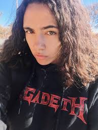 What is your ranking of this koala image?