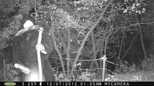 A műsor grafikájának a vezérszíne a többi híradással ellenben vörös. 14 Hatborzongato Ejszakai Foto Amelyet Vadaszok Keszitettek Hirek Hir Ma Hirek Pont Ma Paranormal Pictures Spooky Pictures Trail Camera