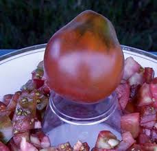 We did not find results for: Japanese Black Trifele Organic Tomato Seeds Tomatofest
