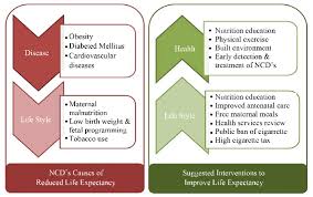 Some Ways Of Sustain Improved Life Expectancy In Africa Download Scientific Diagram