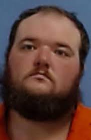 Beebe 35-year-old accused of choking fiancee with dog leash, killing dog