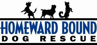 Homeward bound pet rescue, inc. Pets For Adoption At Homeward Bound Rescue In Monticello Mn Petfinder