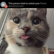 Intruder selfie is another interesting app that you can install from the play store. John Val Rose On Twitter The New Iphone Is Great My Cat Can Use Both Facial Recognition And His Paw Print To Unlock His Phone And It Stopped The Pesky Puss Next Door