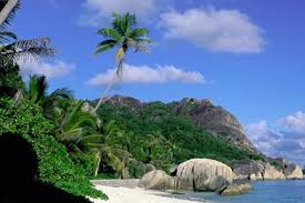 Find your next background that inspires and excites. Free Wallpapers Pc Wallpapers