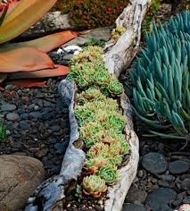 Clever Garden Container Ideas You Never Thought Of The Garden Glove Plants Succulents Succulents Garden