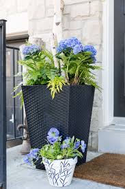 Front Door Planters With Hydrangeas And Ferns Porch Planters Porch Flowers Front Porch Flower Pots