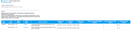 Live Reporting Dashboard Patch Reports Documentation For