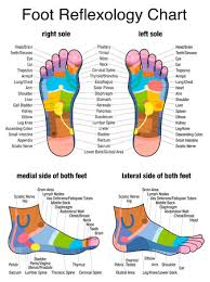 The Haven Reflexology