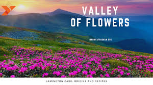 2021 is a great time to go sightseeing and visit the many attractions in uttarakhand. Valley Of Flower And Hemkund In Uttarakhand Yatradham