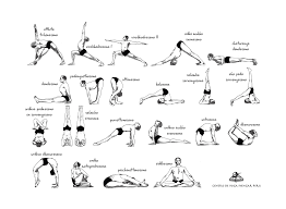 The props enable beginning students, the. 55 Iyengar Yoga Ideen Iyengar Yoga Yoga Yoga Folgen