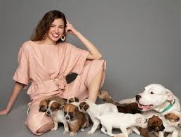 Maybe you would like to learn more about one of these? Unleashed Pet Rescue Archives In Kansas City