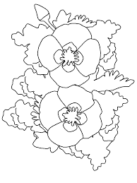 Amazon com animali floreali libro da colorare per adulti 1. Fiori Disegni Per Bambini Da Colorare