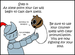 That's the battle. right now, nick has only one cat, minnie. 10 Step Guide Goes To Absurd Lengths Explaining How To Make A Cat Take A Pill And It S Hilarious Bored Panda