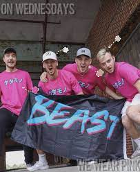 Последние твиты от wear it pink (@wearitpink). On Wednesday S We Wear Pink With The Beast Squad Famous Youtubers Beast Logo Beast