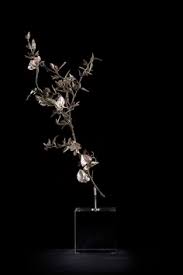 Image result for Otoptera