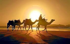 See 382 traveler reviews, 297 in addition, while staying at kasbah ait ben moro hotel guests have access to a 24 hour front desk, a rooftop terrace, and a sun terrace. Imperial Cities And Sahara Desert Heritage Morcco Travel Guided Tours In Morocco
