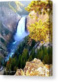 Teresa Howell Canvas Art Prints