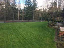 Call us today or fill out the contact form to get a free quote for any of your landscaping needs. Beaverton Lawn Care Organic Sustainable Clean Air Lawn Care