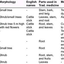Image result for Carpolobia goetzei