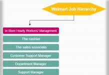 Audit Job Hierarchy Chart Hierarchystructure Com