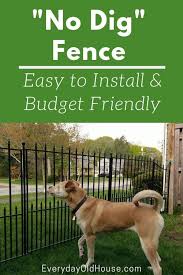 How To Install A No Dig Fence Lowes Grand Empire Xl Everyday Old House Diy Dog Fence Dog Fence Temporary Fence For Dogs