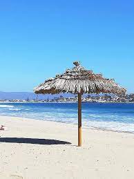 Vacaciones en tongoy y guanaqueros. Tour De Playas Camino A Tongoy Turismo Mayramar