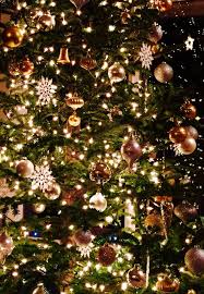 Oh Christmas Tree The Little Focus On Probably The Most Romantic Food Of The Season Eieiei Th Cute Christmas Wallpaper Christmas Wallpaper Christmas Aesthetic