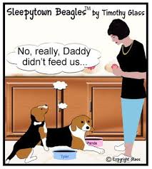 Pin On Fur Baby Love And nothing disturbs them :) draken the beagle channel: pin on fur baby love