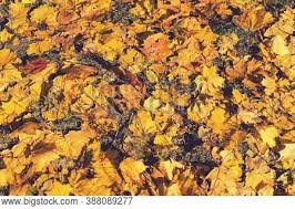 We did not find results for: Background Colorful Image Photo Free Trial Bigstock