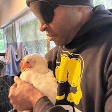 Connecting with the dan tien over time