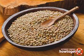 Astuces pour cuisiner les lentilles, informations sur les différentes variétés & suggestions de recettes. Quelle Est La Lentille Utile Pour Le Corps Humain