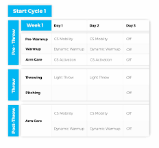 Baseball Throwing Blueprint