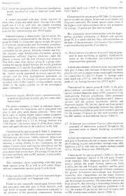 Image result for Urelytrum agropyroides