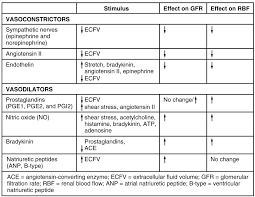 This Table Shows The Stimulus Effect On Gfr Glomerular