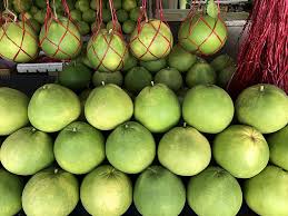 In nepali, it is known as bhogate (भोगटे). Pomelo Fruit Tree Citrus Maxima Citrus Grandis Citrus Tropical Shop Fresh Plant Tambun Pikist