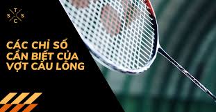 Các chỉ số của một cây vợt mà các bạn cần biết