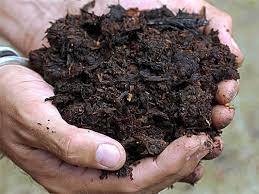 How much horse manure for garden. Organic Horse Manure Mulch Greenfingers Garden Supplies Landscaping
