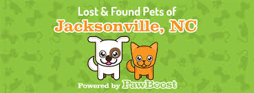 Weil coyote siberian husky large breed rescue 506 oci drive jacksonville, nc. Jacksonville Nc Lost Dogs Cats Pets Home Facebook